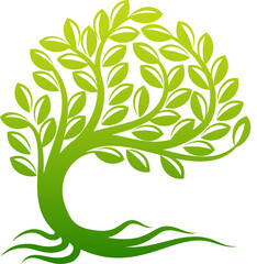 Wall Mural - Tree Roots Concept Icon Sign Illustration Symbol