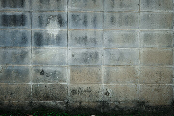 Wall Mural - A wall made of gray bricks with a green plant growing out of it. The wall is dirty and has a worn appearance