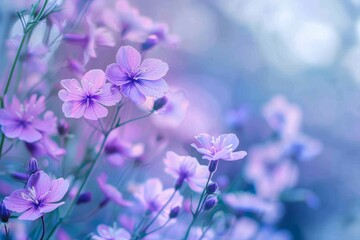 Wall Mural - Delicate purple flowers bloom on a blurred background, Delicate purple flowers blooming across the canvas