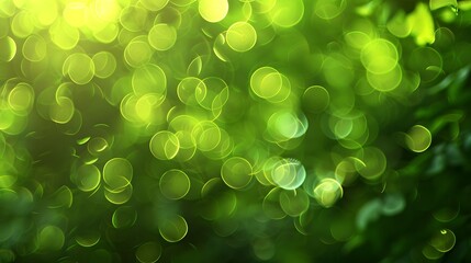Wall Mural - abstract green bokeh background with depth of field