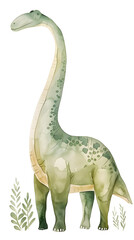 Wall Mural - flat watercolor green beige diplodocus on the white background