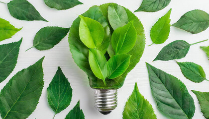 Wall Mural - green eco friendly lightbulb from fresh leaves top view. energy saving, ecology and environment sust