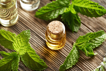 A glass bottle of aromatherapy essential oil with fresh peppermint leaves and flowers