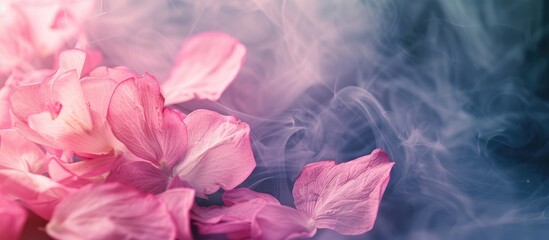Poster - Pink flower petals in soft focus blending with foggy smoke in a horizontal natural background with copy space image