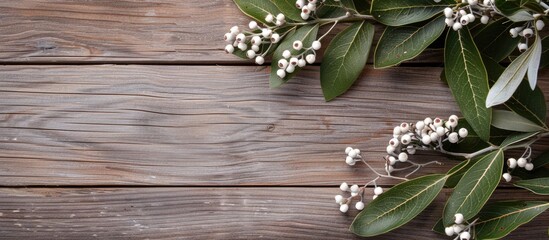 Aufkleber - Wooden background with a branch adorned with white berries for your design perfect copy space image