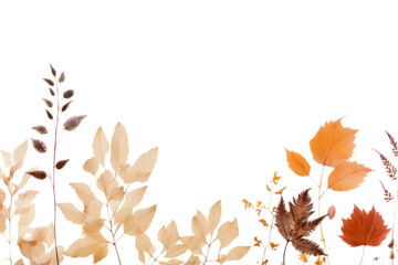 Sticker - PNG  Real pressed autumn leaves backgrounds plant leaf.