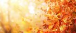 © vxnaghiyev - Fall background with copy space image