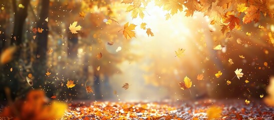 Poster - Autumn forest scene with defocused yellow and brown leaves creating a peaceful and serene atmosphere ideal as a nature themed copy space image
