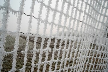 Wall Mural - Close-up of a frosty net with a misty field in the background on a cold winter morning