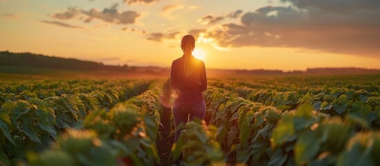 Wall Mural - Woman Walking Through a Field of Sunflowers at Sunset