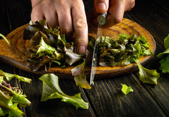 Wall Mural - Cutting lettuce leaves with a knife on a cutting board to prepare a healthy breakfast at home.