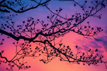 Sticker - Vibrant Tree Silhouette Against Colorful Sky