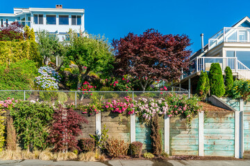 Wall Mural - View Home Garden 2