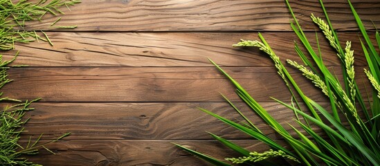 Wall Mural - Rice paddy displayed on a rustic wooden surface with ample copy space image