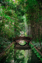 Poster - Chengdu, China - December 4 2023 : Historical center in autumn, HDR Image