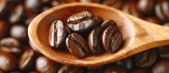 Canvas Print - Whole roasted coffee beans in a wooden spoon for producing delicious coffee suitable for a copy space image