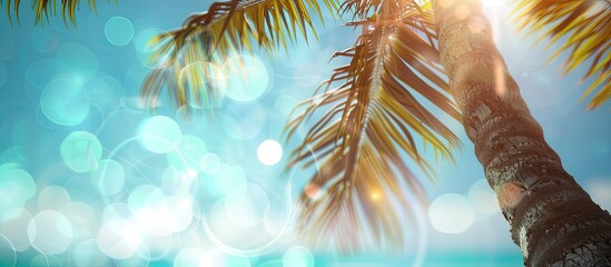 Poster - Blurred coconut tree with the sunlit blue sky and bokeh effects in the background, creating a serene copy space image.