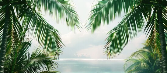 Poster - Tranquil panorama with palm trees framing a copy space image.