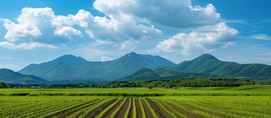 Sticker - Scenic Hokkaido countryside with open fields, mountains, and a tranquil atmosphere, perfect for a copy space image.