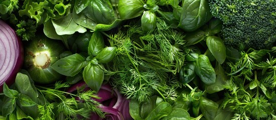 Canvas Print - Fresh herbs, including onion, dill, coriander, spinach, and tarragon, create a colorful and aromatic ensemble ideal for cooking or garnishing dishes.