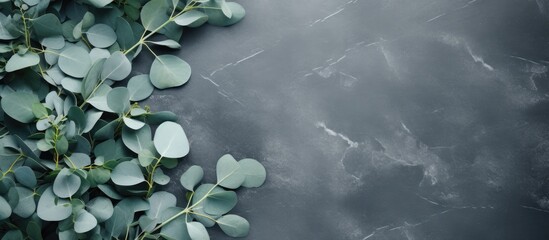 Aufkleber - Eucalyptus leaves arranged on a stone surface with a frame crafted from eucalyptus branches in a top-down view, offering copy space within the composition.