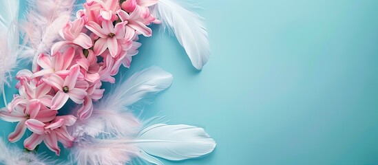 Canvas Print - Pink hyacinth flowers with white feathers against pastel blue or cyan colors, ideal for adding your text in a copy space image evoking spring or summer vibes.