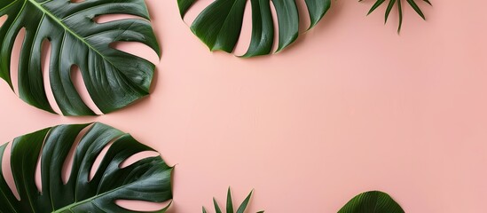 Wall Mural - Top view of tropical leaves, including a monstera leaf, set on a light pink backdrop for a flat lay presentation with creative minimal design, leaving room for text or other images - copy space image.