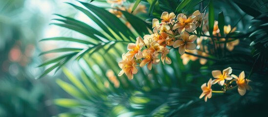 Wall Mural - Tree with Areca palm flowers blooming adding a tropical touch to the scene, ideal as a copy space image.