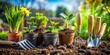 © Working Moments - A Row of Plants in Pots with Gardening Tools, Garden , Gardening , Potted Plants , Springtime