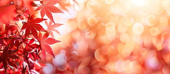 Poster - Selective focus on red maple leaves with a blurred background, perfect as a copy space image.