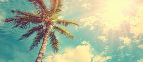 Poster - Vintage toned image of a tropical palm tree with sunlight against a sky backdrop, creating a serene nature travel concept with copy space.