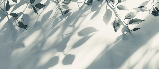 Poster - Minimalist style background created by leaf shadows on house walls with copy space image.