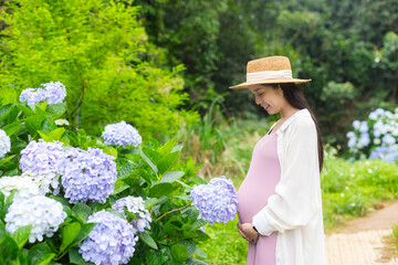 Wall Mural - Pregnant woman hold with her tummy in Hydrangea flower garden