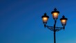 © 2rogan - Silhouette of electric lamp posts against clear blue twilight sky
