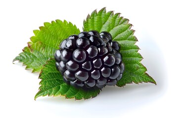 Wall Mural - Fresh Blackberry on Green Leaves Isolated on White Background