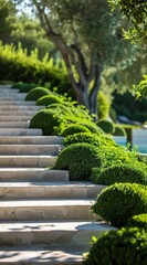 Canvas Print - a bunch of steps that are next to a tree