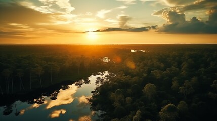 Beautiful green amazon forest landscape at sunset sunrise. Adventure explore air dron view vibe. Graphic Art