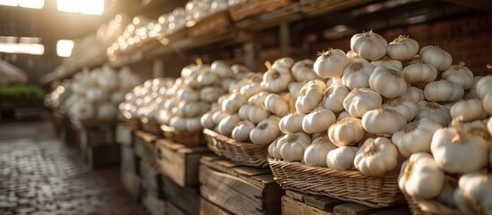 Wall Mural - Garlic Harvest at a Farmer's Market