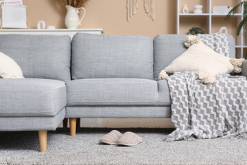 Poster - Soft slippers on floor in living room