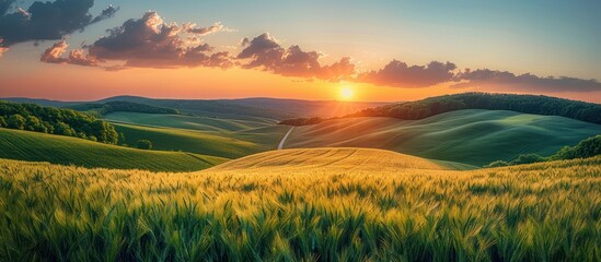 Wall Mural - Sunset over Rolling Green Fields