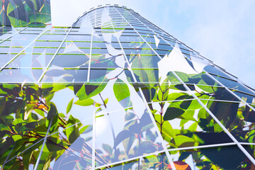 Wall Mural - Environment. Modern building and green plant, double exposure