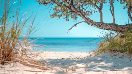 Natural background with sand beach with dry tree branches and green grass Behind is the sea and blue sky Photo for advertisement with space to display product Summer vacation at the be : Generative AI