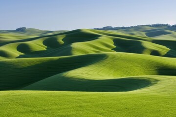 Wall Mural - Lush green rolling hills and meadows