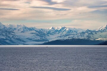 Sticker - College Fjord, Alaska