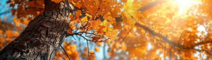 Wall Mural - Sunlit Autumn Leaves on Tree Branches with Warm Golden Light in a Tranquil Forest Setting