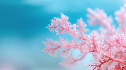  A tight shot of a pink plant, adorned with numerous snowflakes on its foliage, against a backdrop of a tranquil blue sky