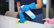 © peopleimages.com - Hands, cleaner and sanitizer for hygiene, fresh and disinfectant for virus protection or housekeeping. Person, worker and spray for bacteria, disease and prevention in office as janitor for company