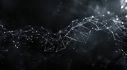 spider web in the morning