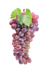 Wall Mural - Red grapes isolated on white