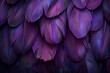 © Welle Photos - Black and purple feathers abstract background, bird feather texture wallpaper design for wall art print or screen poster template. Blacklight effect nature concept